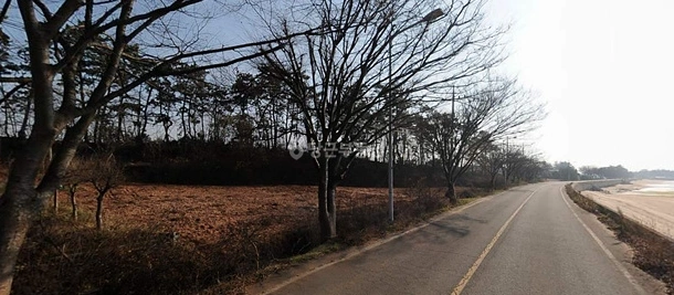 전남광주통합특별시 무안군 현경면 토지 사진 1