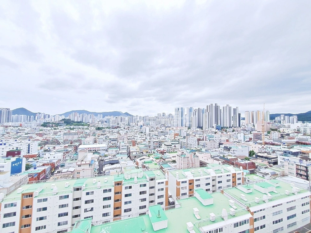 부산광역시 동래구 온천동 오피스텔 사진 1