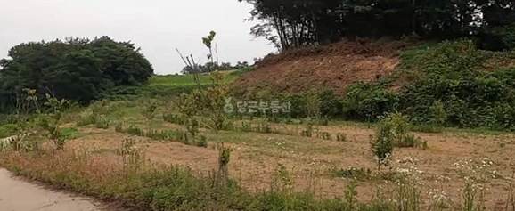 전북특별자치도 고창군 무장면 토지 사진 1