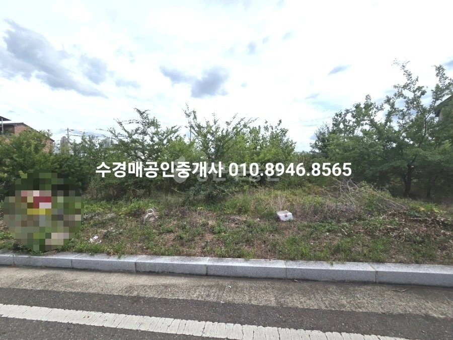 대구광역시 달성군 구지면 토지 사진 1