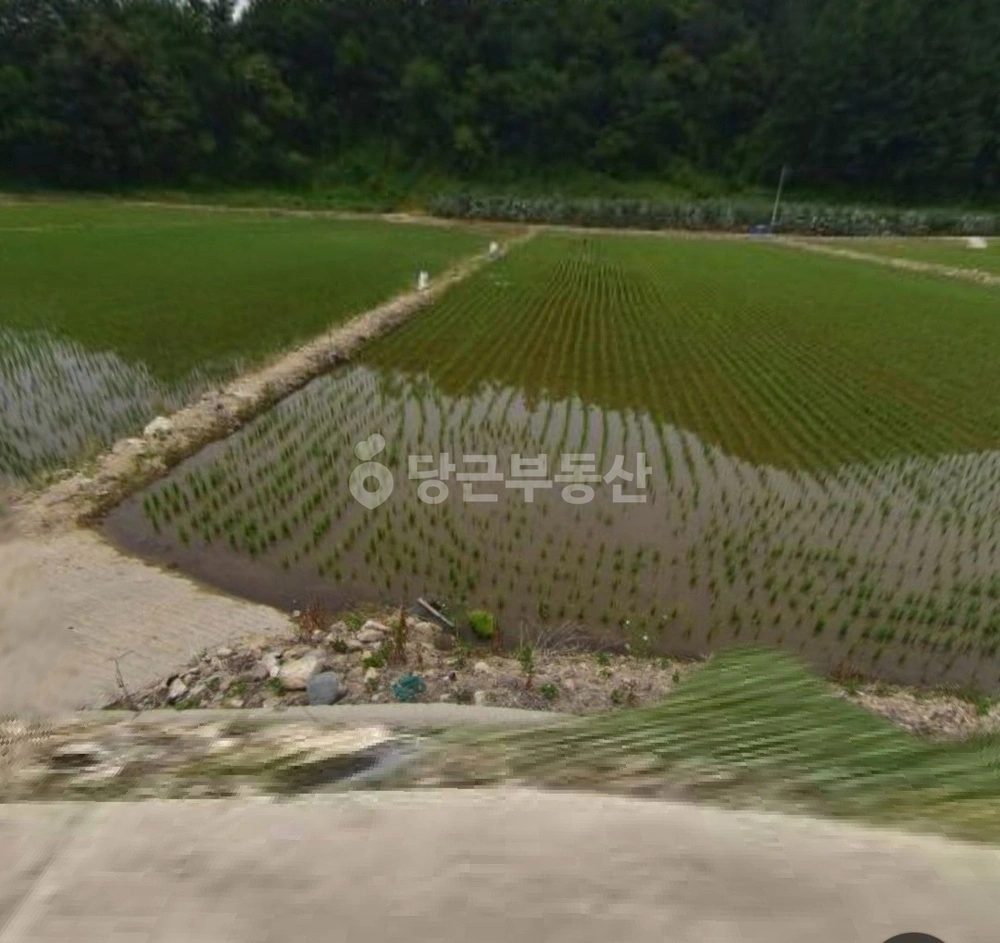 충청북도 제천시 백운면 토지 사진 1