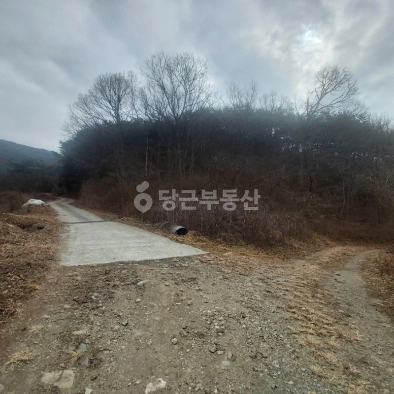전남광주통합특별시 화순군 백아면 토지 사진 1