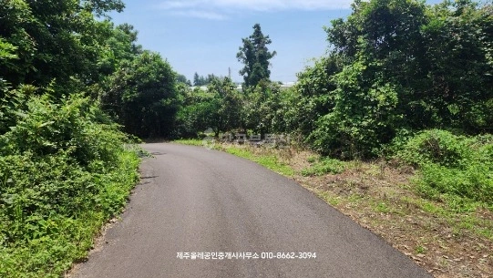 제주특별자치도 서귀포시 표선면 토지 사진 1