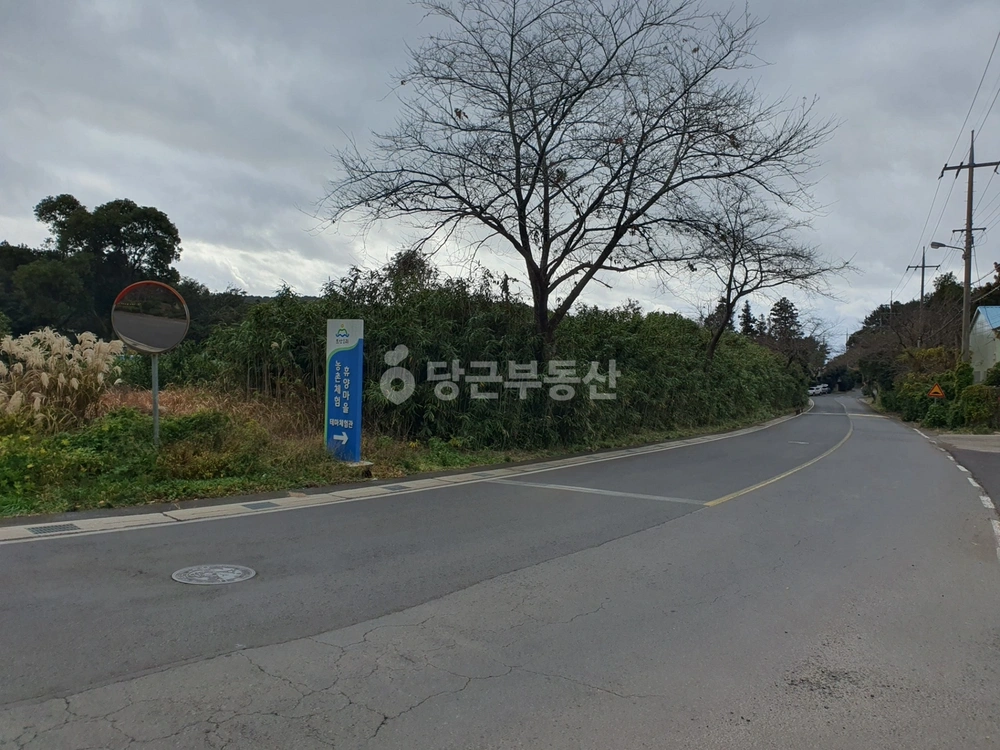 제주특별자치도 서귀포시 표선면 토지 사진 1