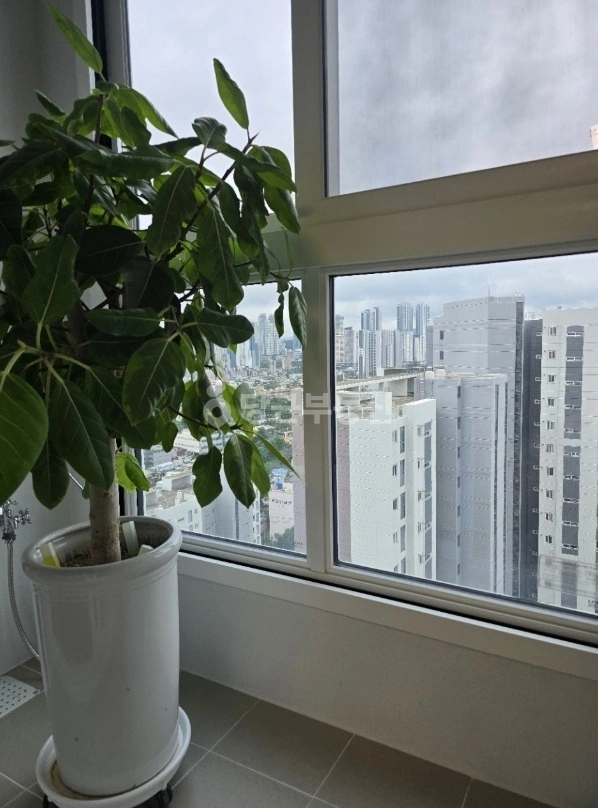 울산광역시 중구 복산동 아파트 사진 1