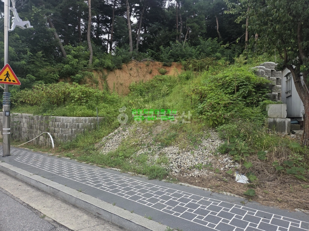 강원특별자치도 강릉시 입암동 토지 사진 1