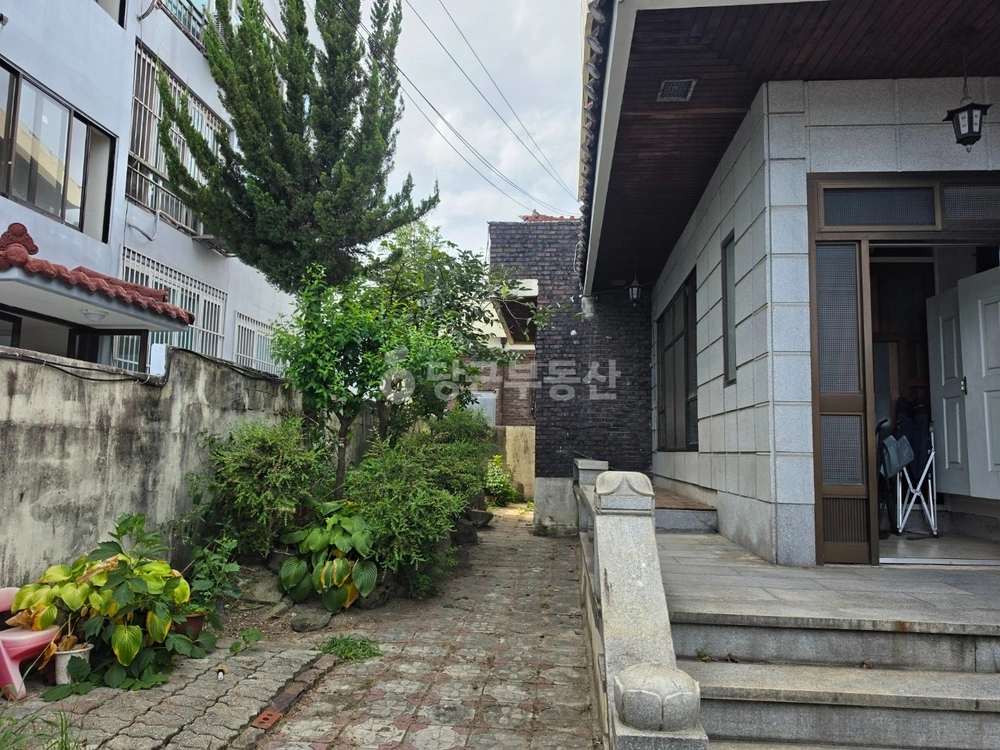 대전광역시 동구 홍도동 건물 사진 1