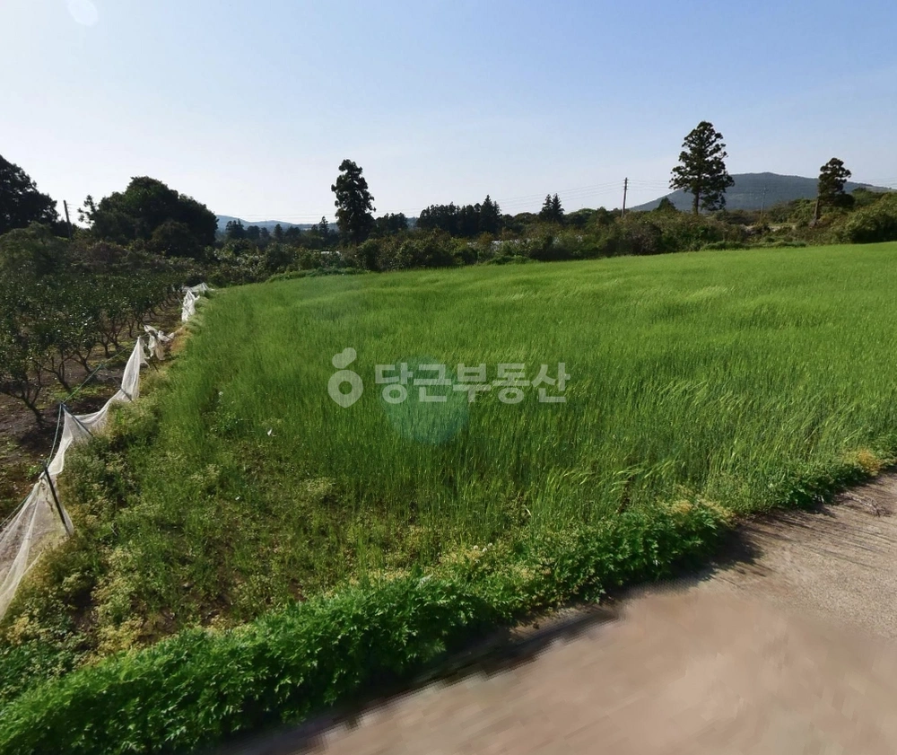 제주특별자치도 서귀포시 성산읍 토지 사진 1