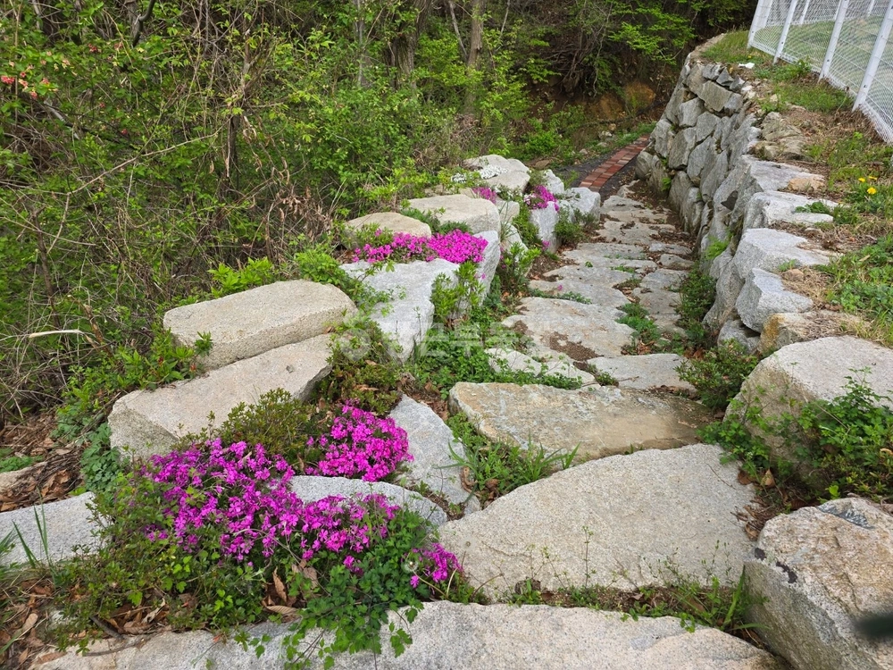 경상남도 창원시 마산회원구 내서읍 토지 사진 1