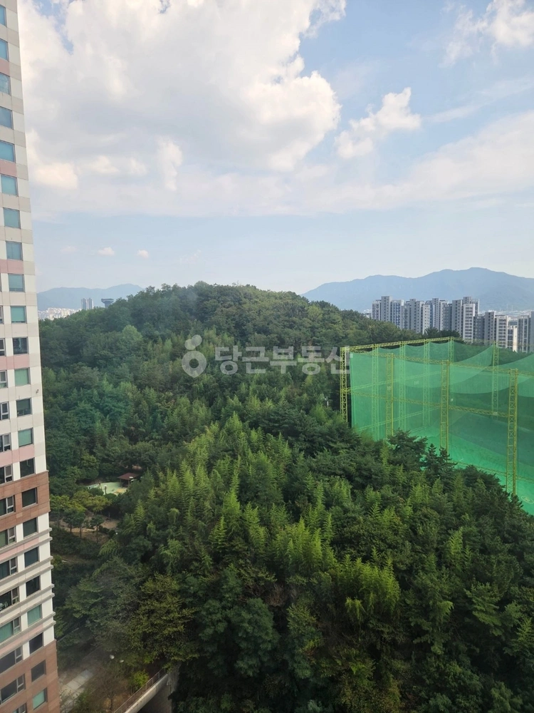 경상남도 창원시 성산구 대원동 오피스텔 사진 1