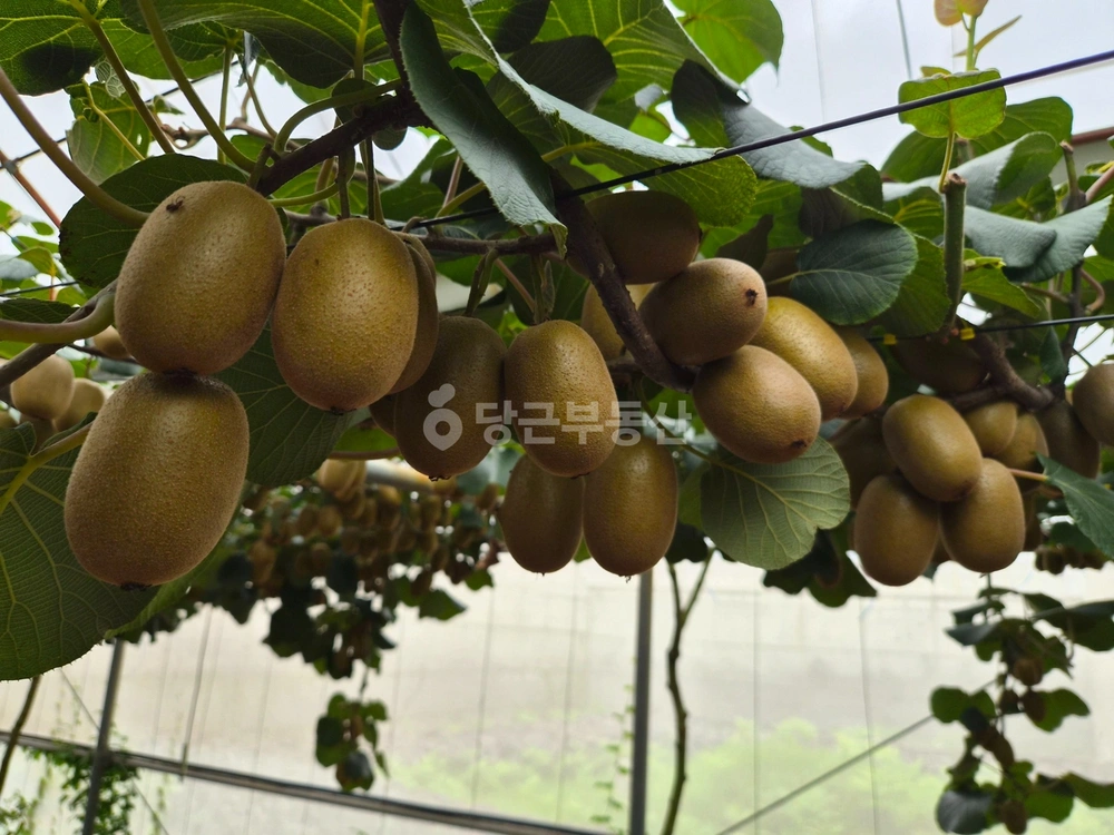 제주특별자치도 서귀포시 성산읍 토지 사진 1