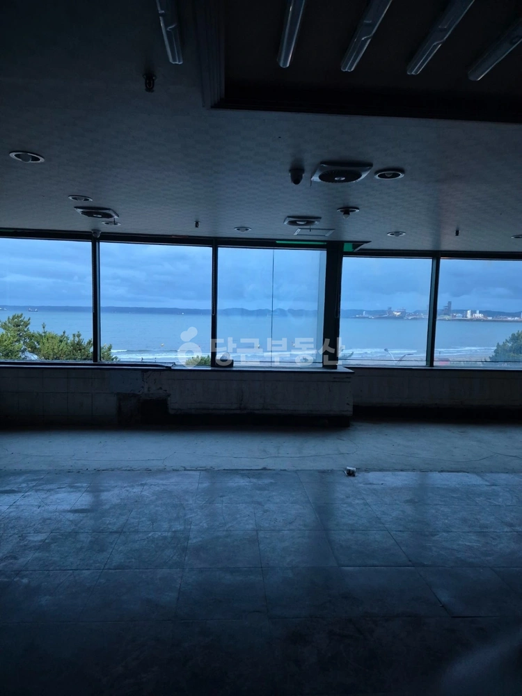 경상북도 포항시 북구 항구동 상가 사진 1