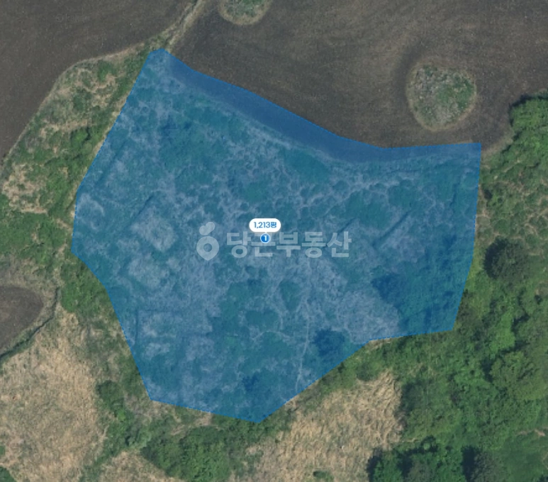 제주특별자치도 제주시 애월읍 토지 사진 1