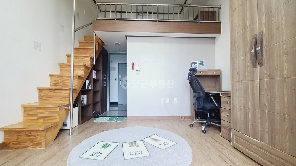 부산광역시 영도구 동삼동 원룸 사진 1