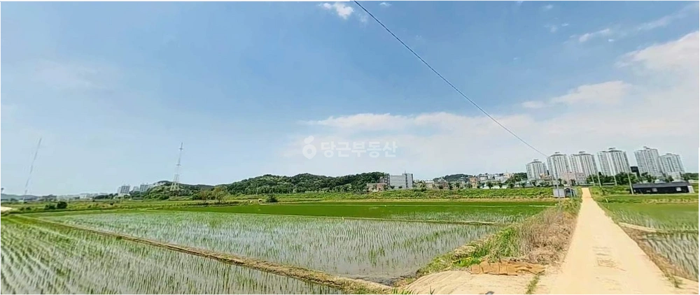 경기도 시흥시 매화동 토지 사진 1
