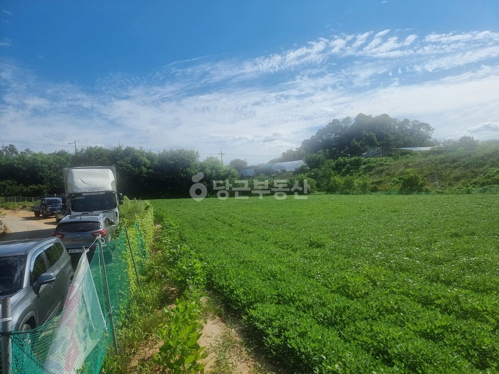 충청북도 청주시 흥덕구 신전동 토지 사진 1