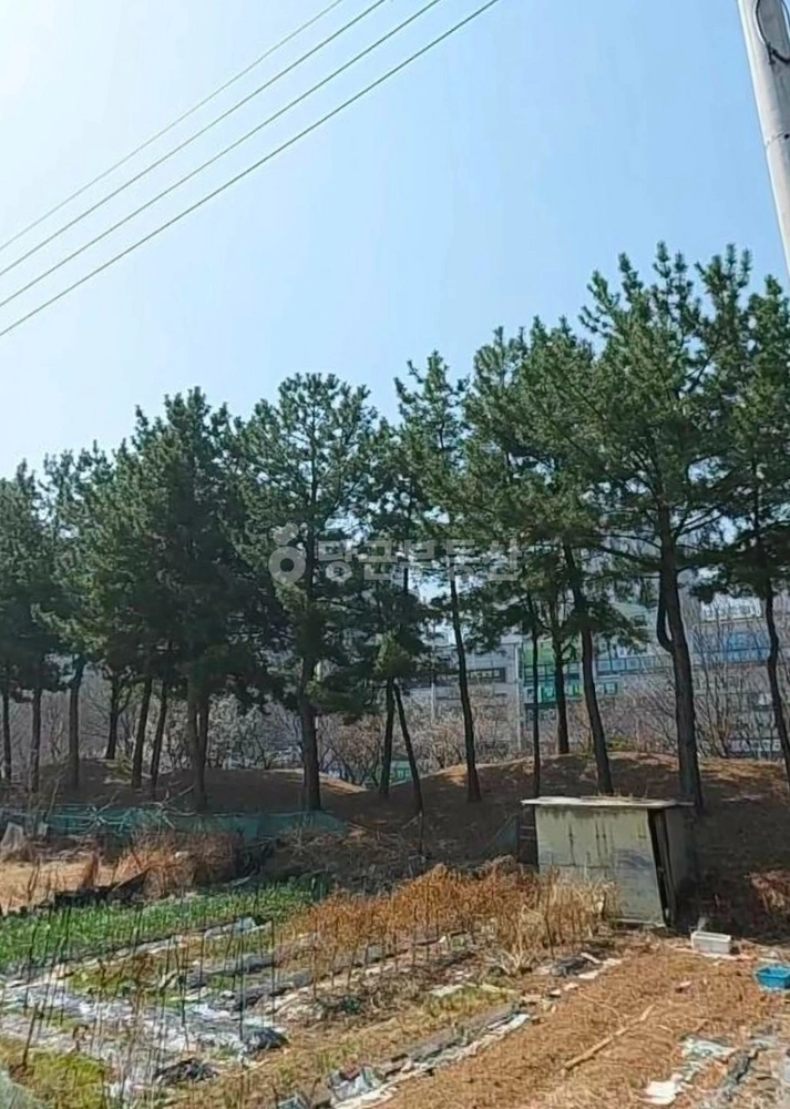 경상남도 김해시 대청동 토지 사진 1