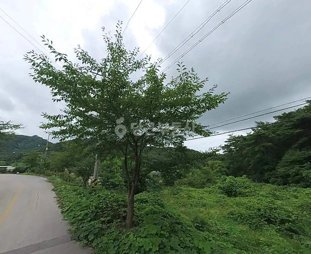 전북특별자치도 고창군 심원면 토지 사진 1