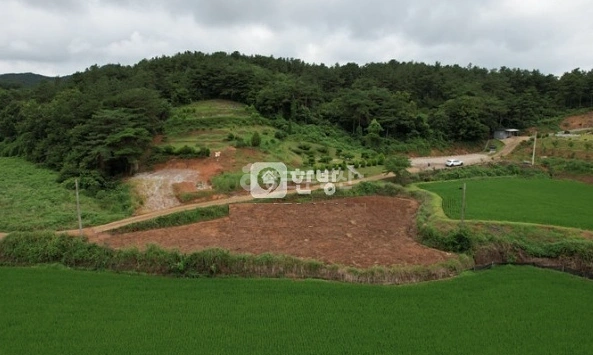 전남광주통합특별시 함평군 신광면 토지 사진 1