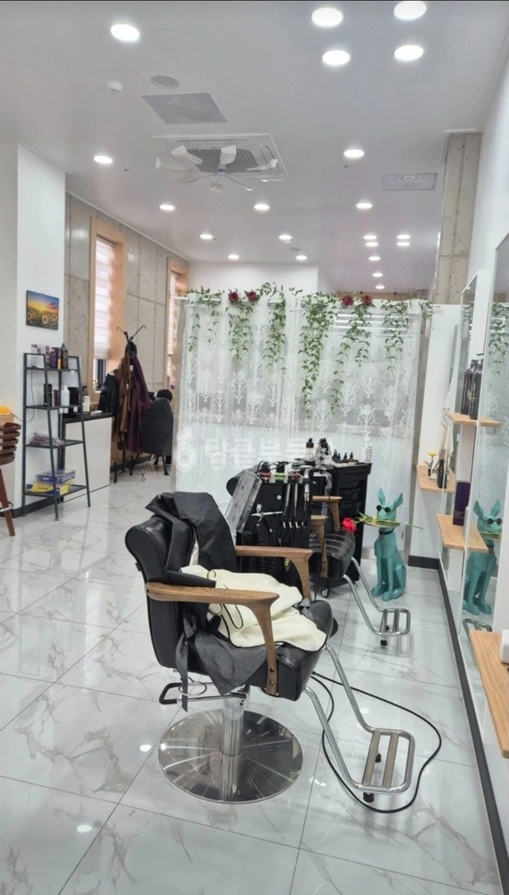 경상북도 경주시 황성동 상가 사진 1