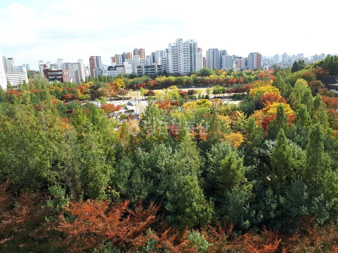 서울특별시 중구 신당동 아파트 사진 1