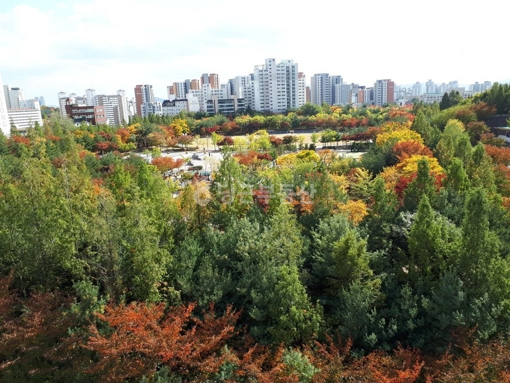 서울특별시 중구 신당동 아파트 사진 1