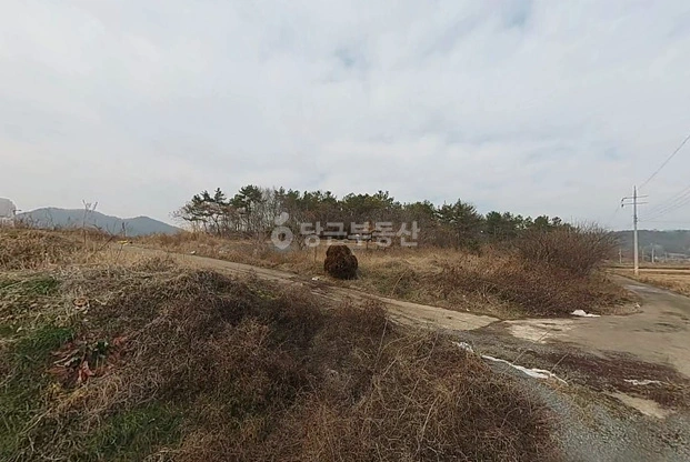 전남광주통합특별시 함평군 대동면 토지 사진 1