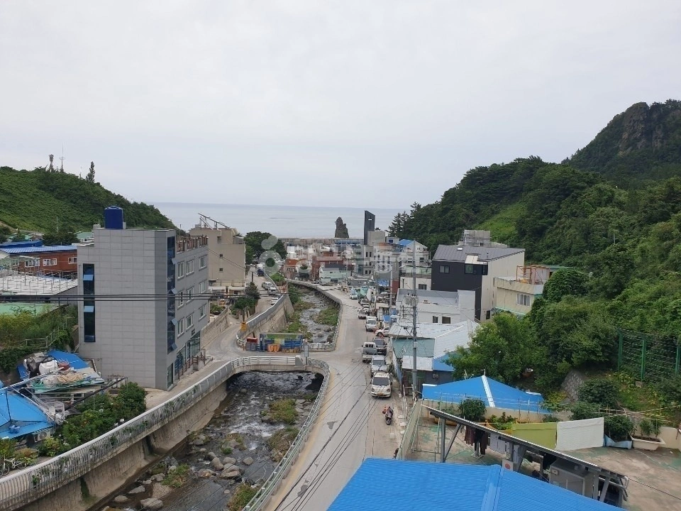 경상북도 울릉군 울릉읍 단독/전원주택 사진 1