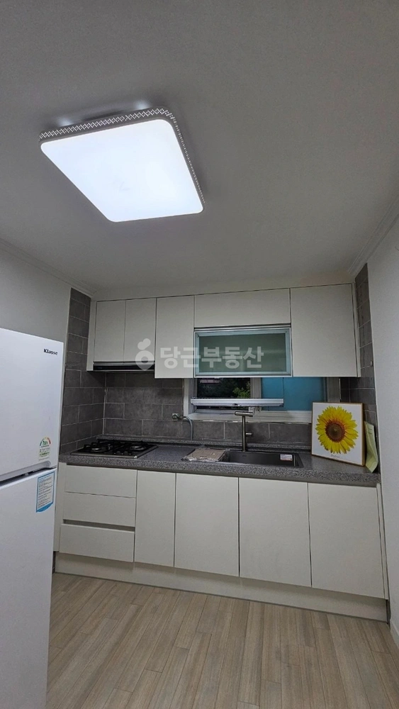경기도 부천시 오정구 고강동 빌라(투룸 이상) 사진 1