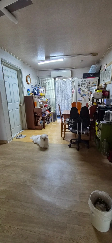 제주특별자치도 제주시 노형동 빌라(투룸 이상) 사진 1
