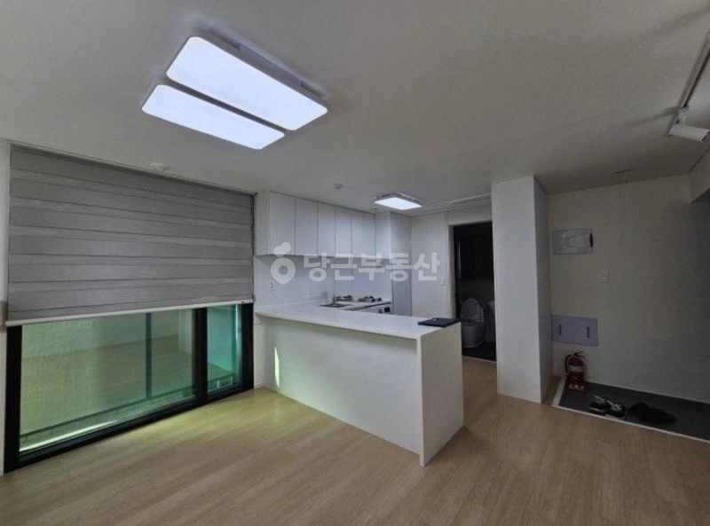 서울특별시 서초구 서초동 원룸 사진 1