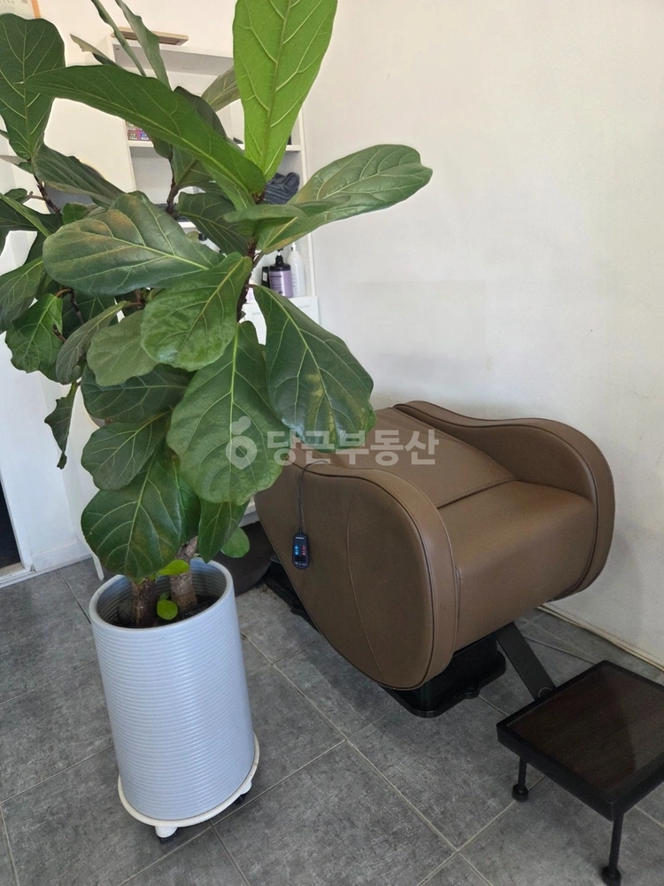 전북특별자치도 완주군 봉동읍 상가 사진 1