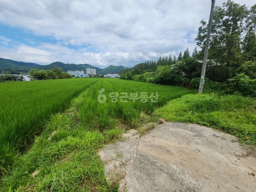 전남광주통합특별시 화순군 화순읍 토지 사진 1