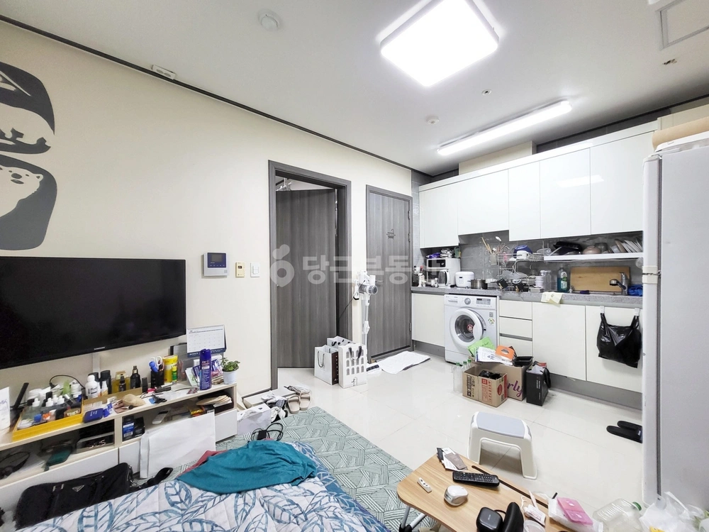 서울특별시 강남구 역삼동 원룸 사진 1