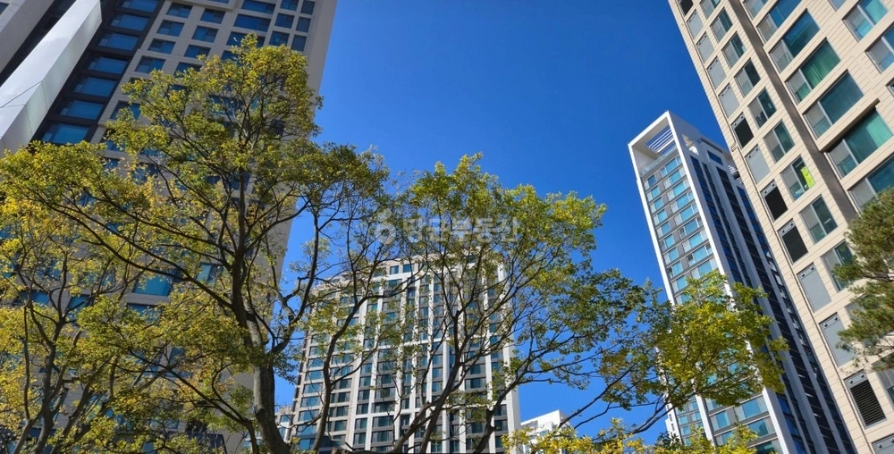 서울특별시 강남구 개포동 아파트 사진 1