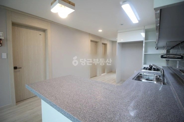 대전광역시 서구 도안동 빌라(투룸 이상) 사진 1