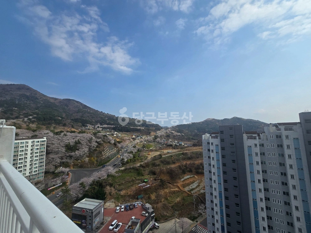 경상남도 창원시 진해구 장천동 아파트 사진 1