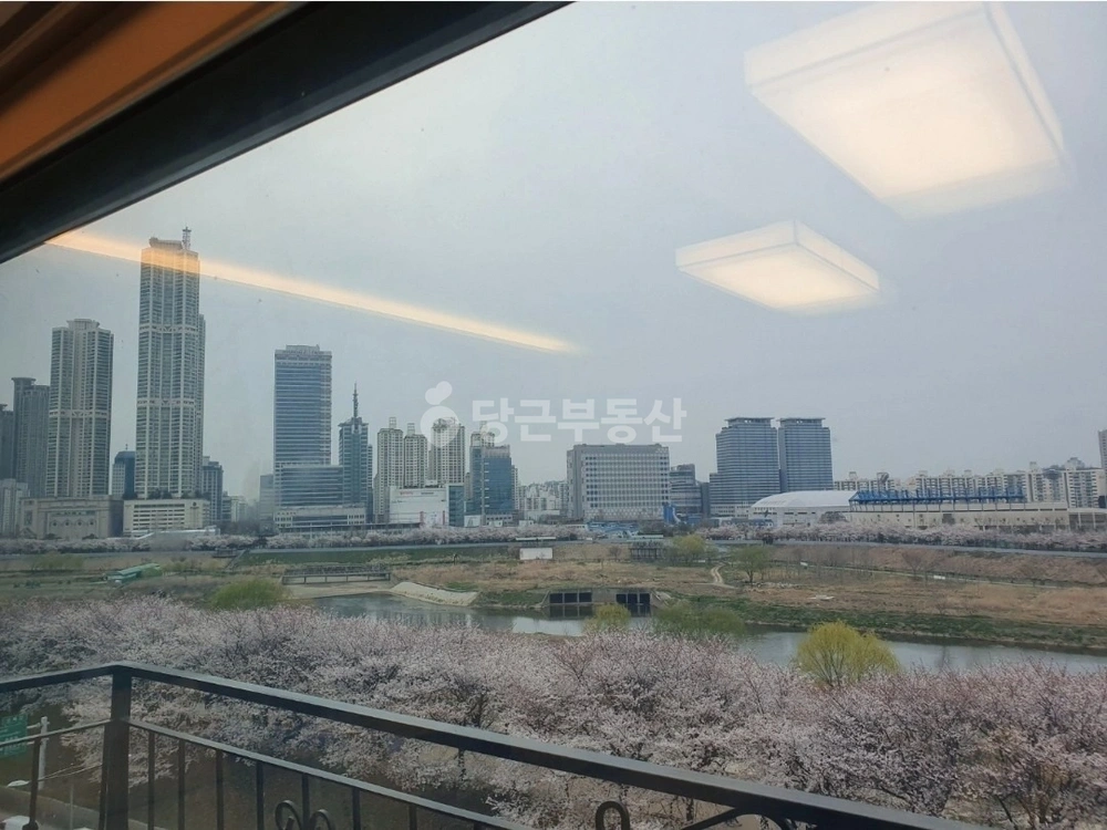서울특별시 영등포구 양평동3가 빌라(투룸 이상) 사진 1
