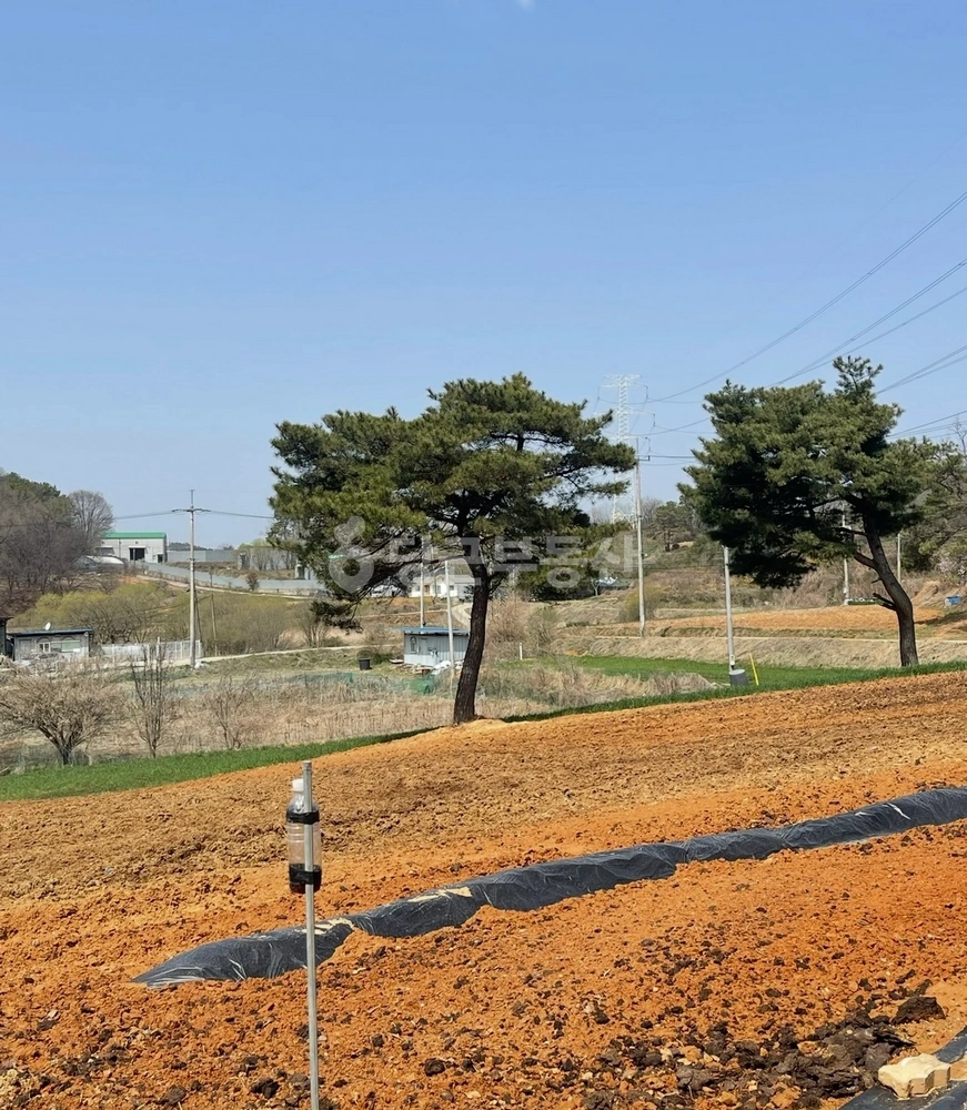 경기도 안성시 보개면 토지 사진 1