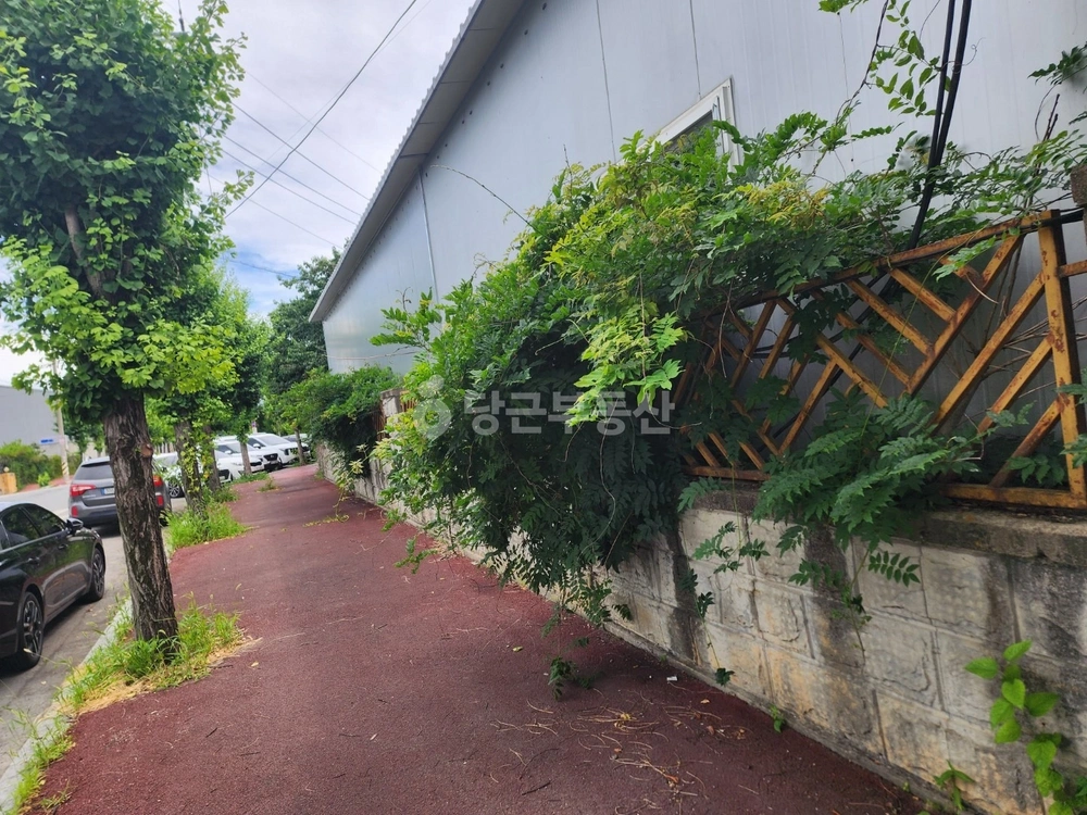 경상북도 청도군 풍각면 공장/창고 사진 1