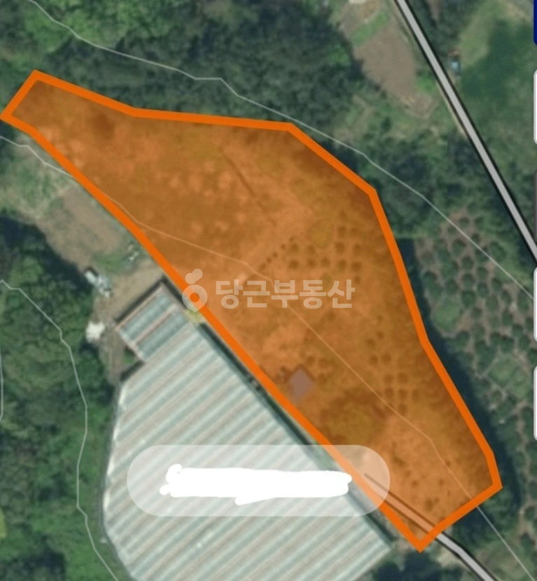 제주특별자치도 서귀포시 도순동 토지 사진 1