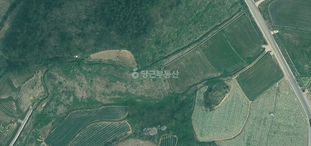 전남광주통합특별시 무안군 해제면 토지 사진 1