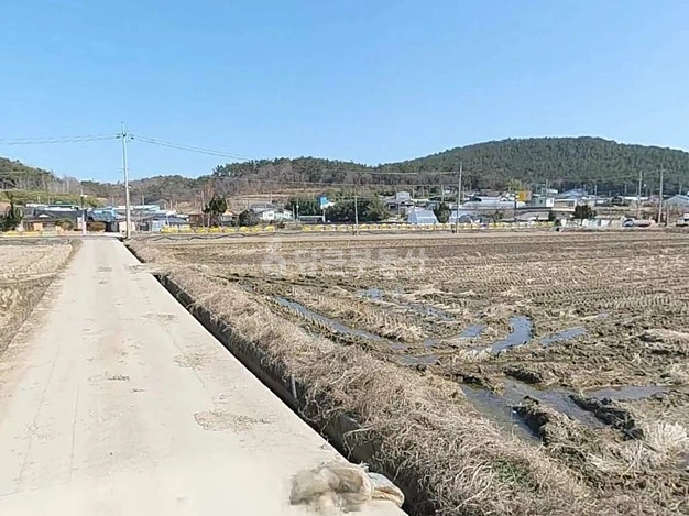전남광주통합특별시 무안군 삼향읍 토지 사진 1