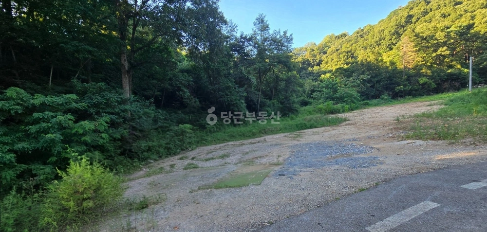 충청북도 제천시 금성면 토지 사진 1