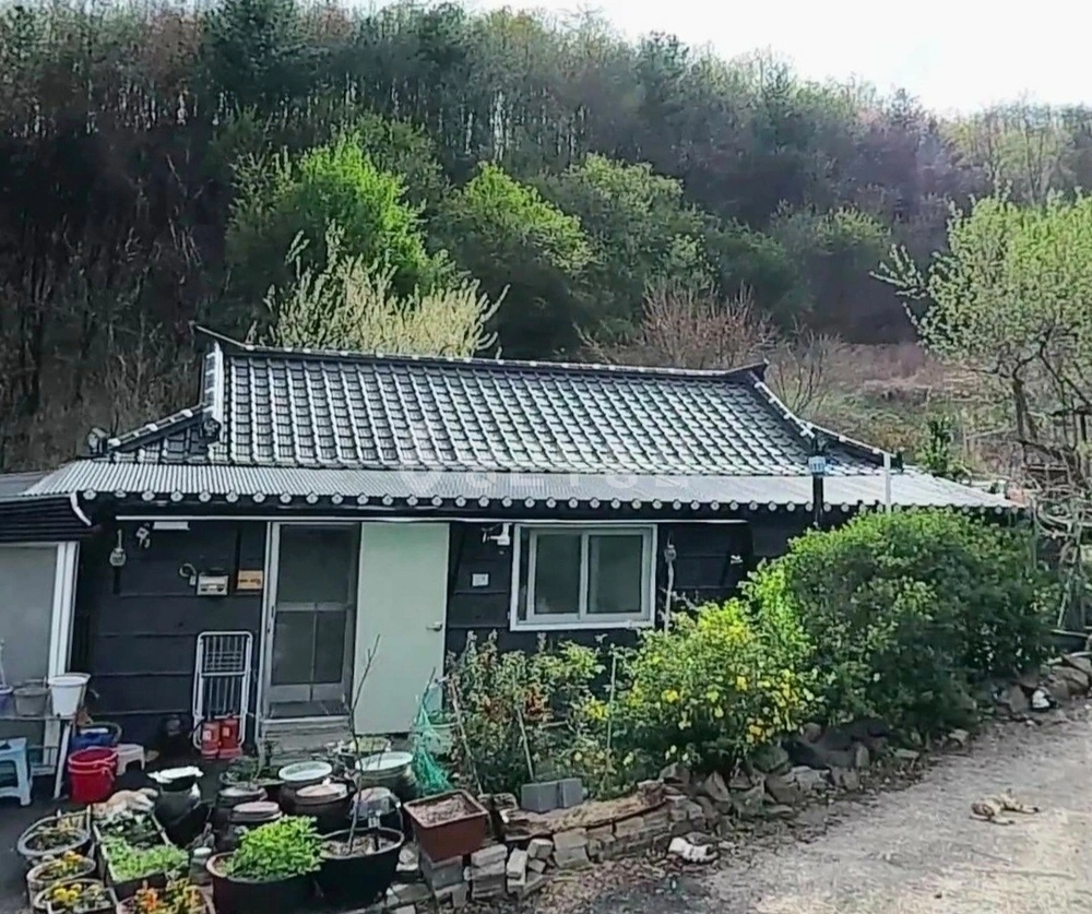 경상북도 의성군 옥산면 토지 사진 1