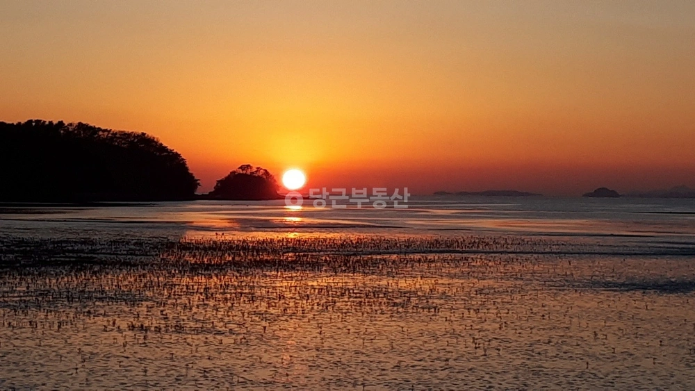경기도 안산시 단원구 대부남동 토지 사진 1