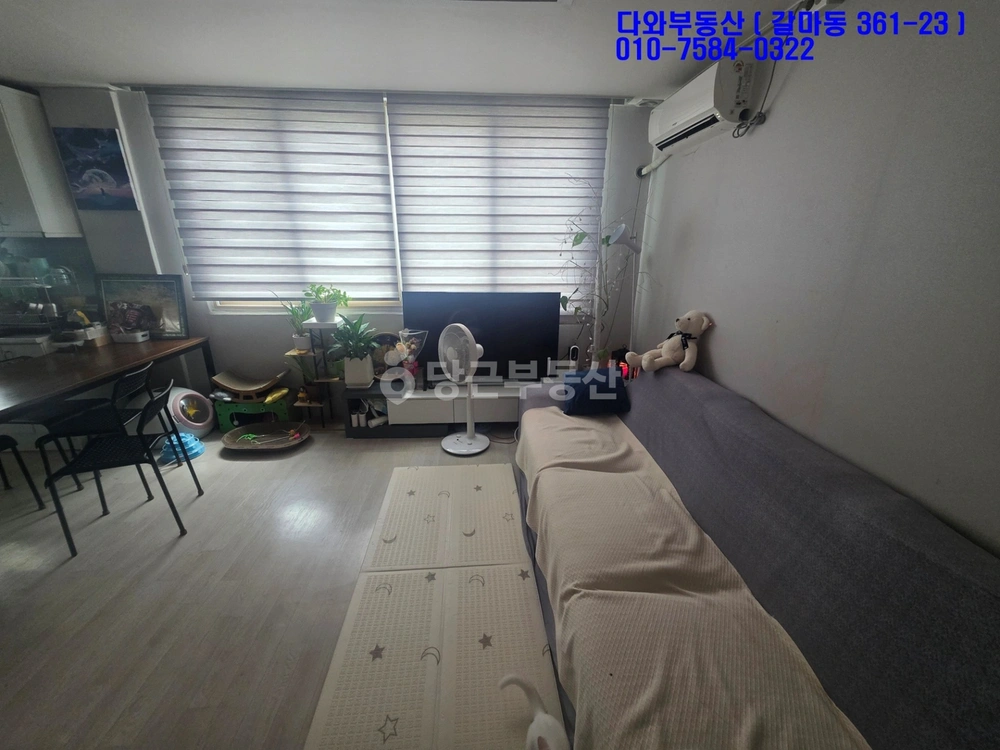 대전광역시 서구 괴정동 빌라(투룸 이상) 사진 1