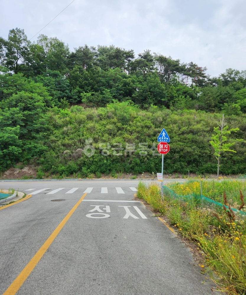 경상북도 구미시 선산읍 토지 사진 1