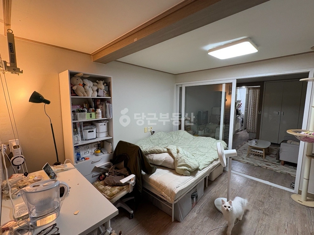 제주특별자치도 제주시 연동 아파트 사진 1