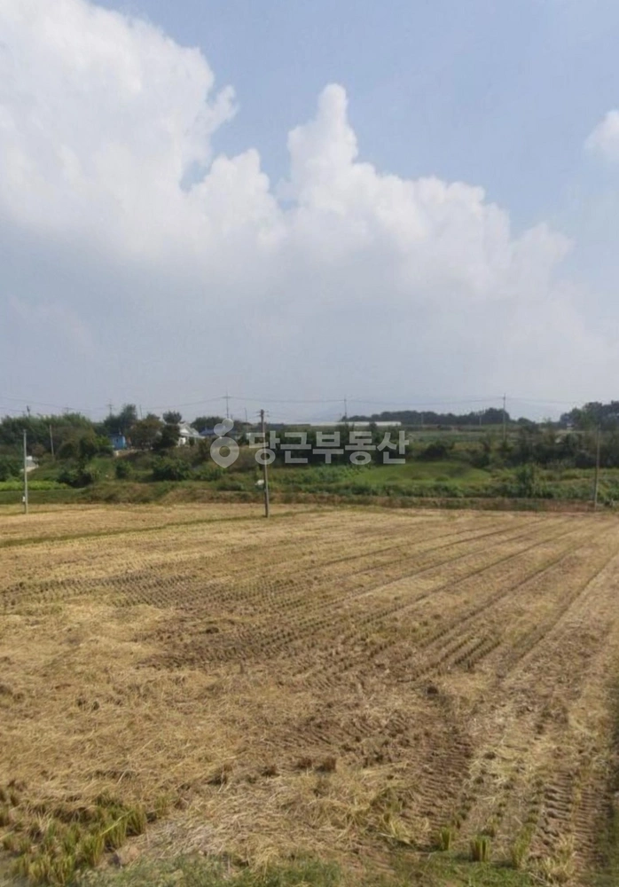 충청남도 보령시 청소면 토지 사진 1